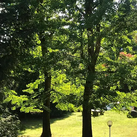 Ai Giardini